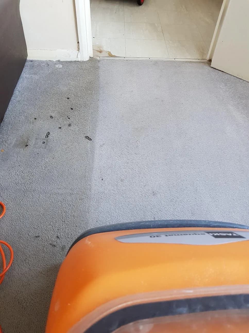 Carpet mid-clean showing the contrast between the dirty and cleaned halves