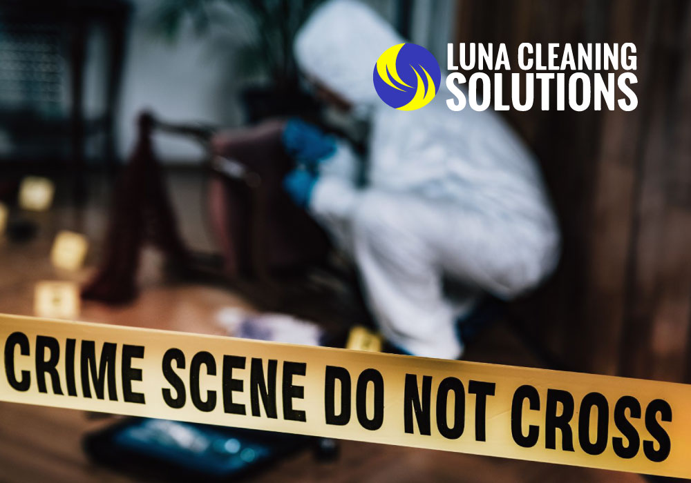 forensic-cleaning